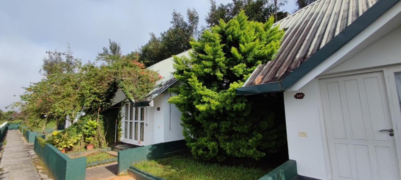 Munnar Tea Hills Resort - MTHR Exteriör bild