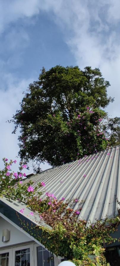 Munnar Tea Hills Resort - MTHR Exteriör bild
