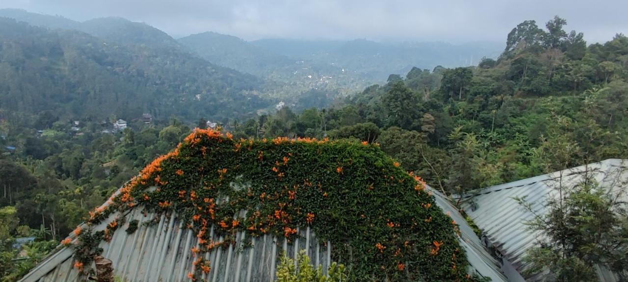 Munnar Tea Hills Resort - MTHR Exteriör bild