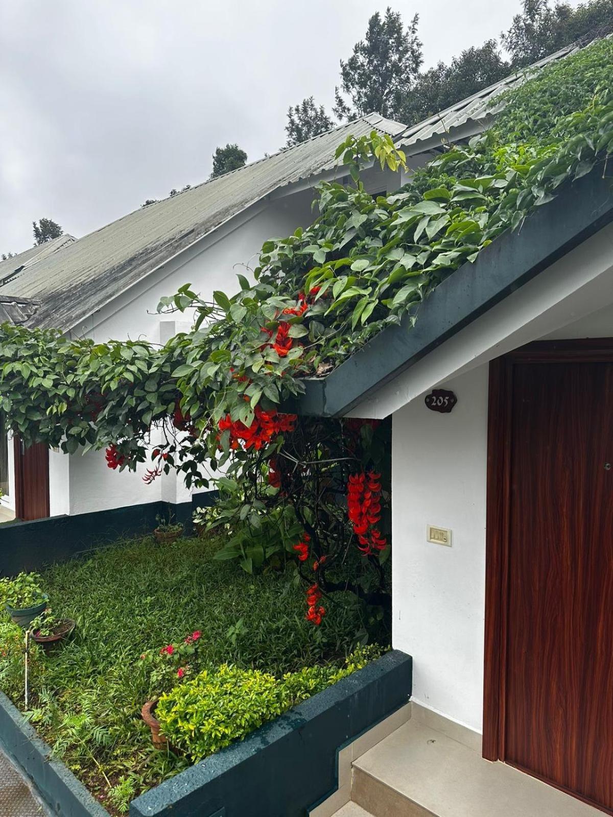 Munnar Tea Hills Resort - MTHR Exteriör bild